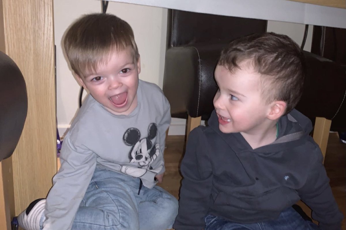 Zareena1899's tweet photo. These cheeky monkeys apparently wanting to help me with uni work!😂🤦🏻‍♀️ #noworkdone https://t.co/e3Vd6CDeZG