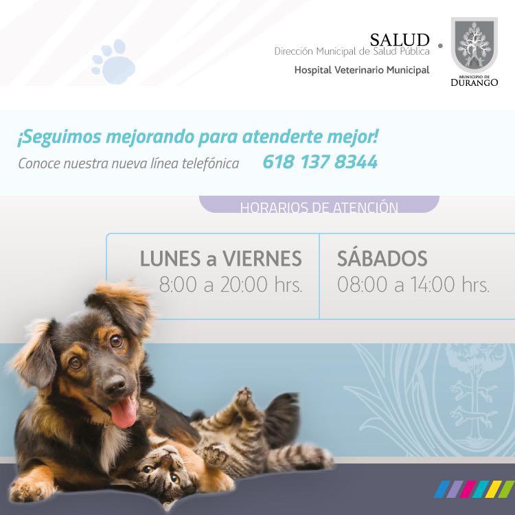 📣 #Entérate Empezamos el año con la patita derecha 🐾➡️ conoce el nuevo teléfono de atención del Hospital Veterinario Municipal ⤵️
☎️ 618 137 83 44
🔹Lunes a viernes:
8:00 a 20:00 horas
🔹Sábados:
8:00 a 14:00 horas. https://t.co/APOngYRBlX