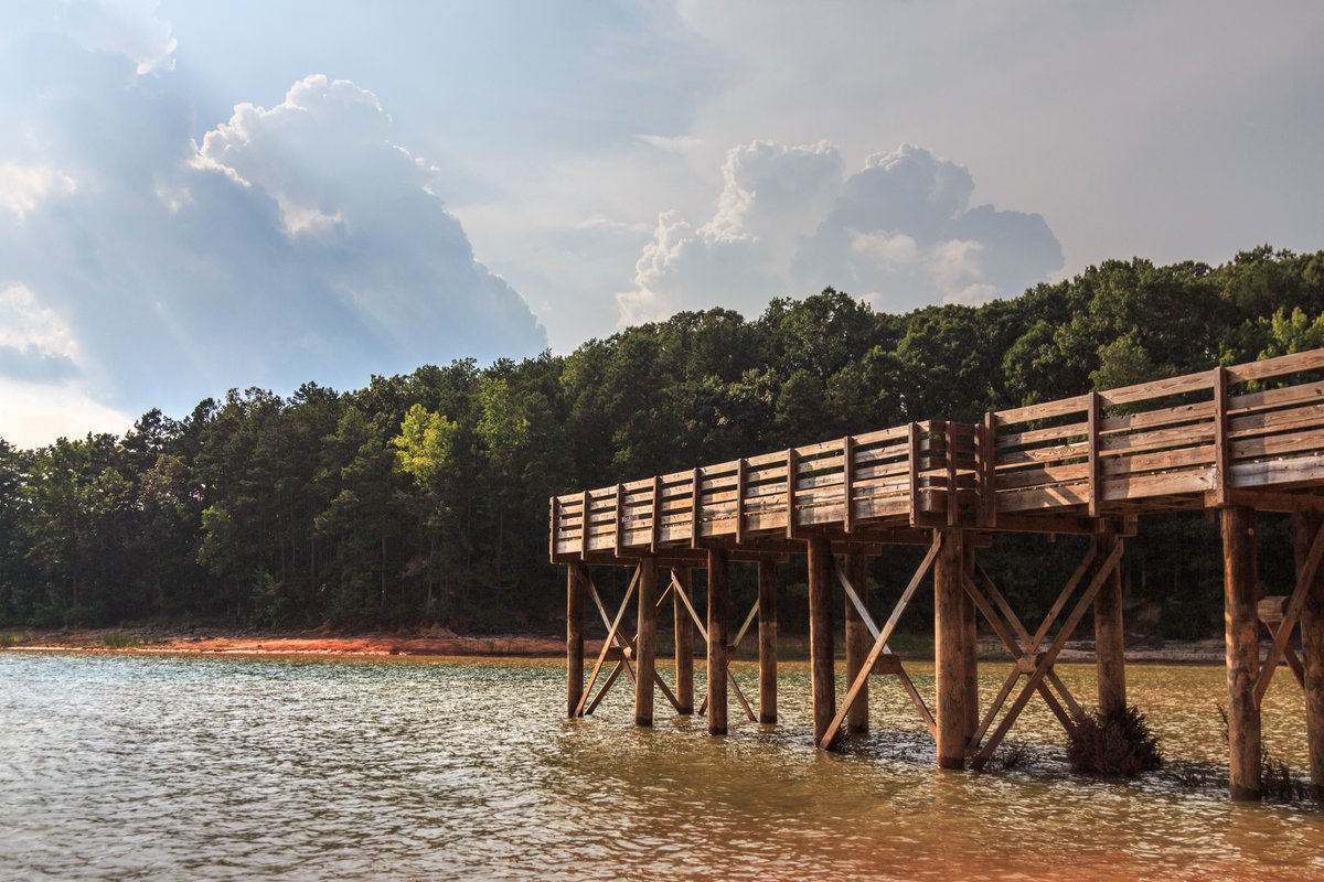 Discover_SC's tweet photo. With scenic locales along the ocean shore, freshwater lakes and backcountry rivers, you're sure to have a fun time no matter where you drop your line in South Carolina. https://t.co/fcLar00qei #FishinSC https://t.co/wn0Ui31EER