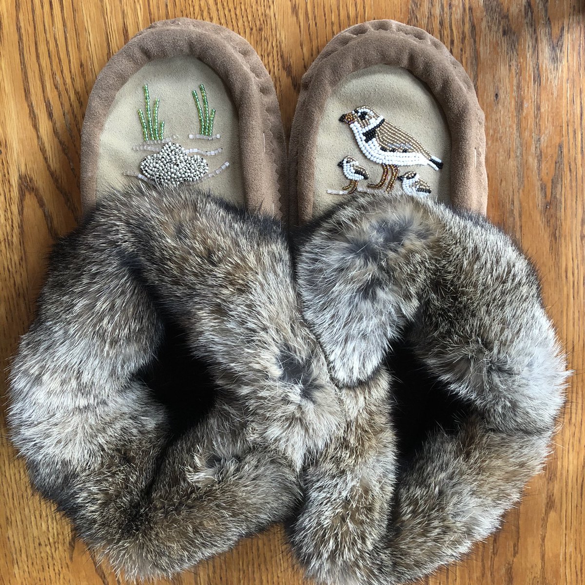 peep_lo's tweet photo. Received these bad boys for Christmas. I certainly needed them. Love the #pipingplover with chicks and the beach habitat beading. Beautiful craftsmanship. DM me if you would like the details to order your own pair. https://t.co/JWPXicTEmB