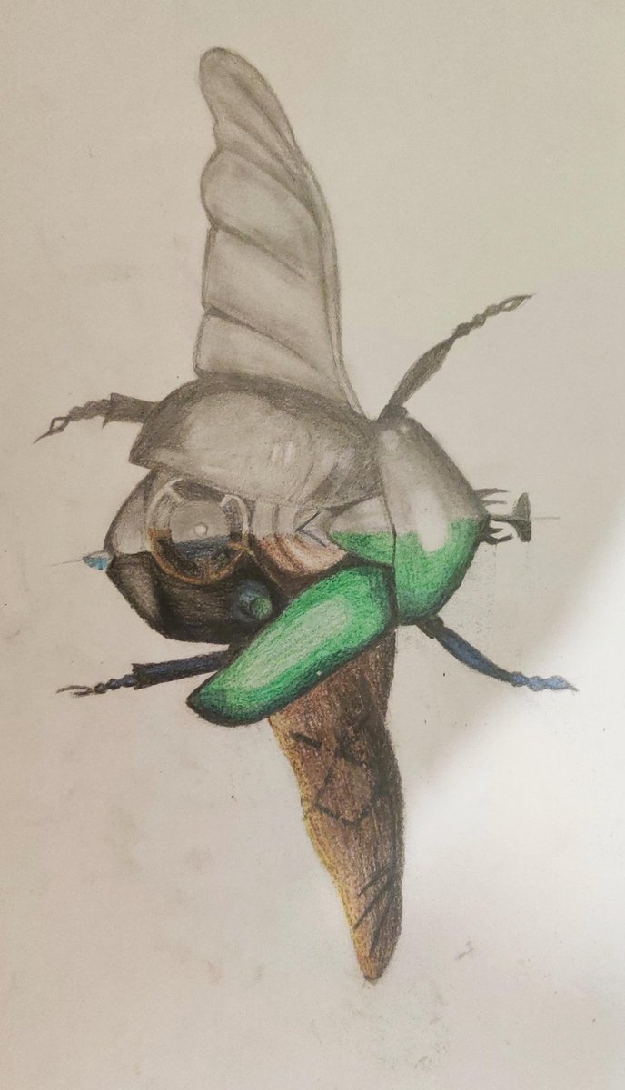 CHS South Arts tweet media