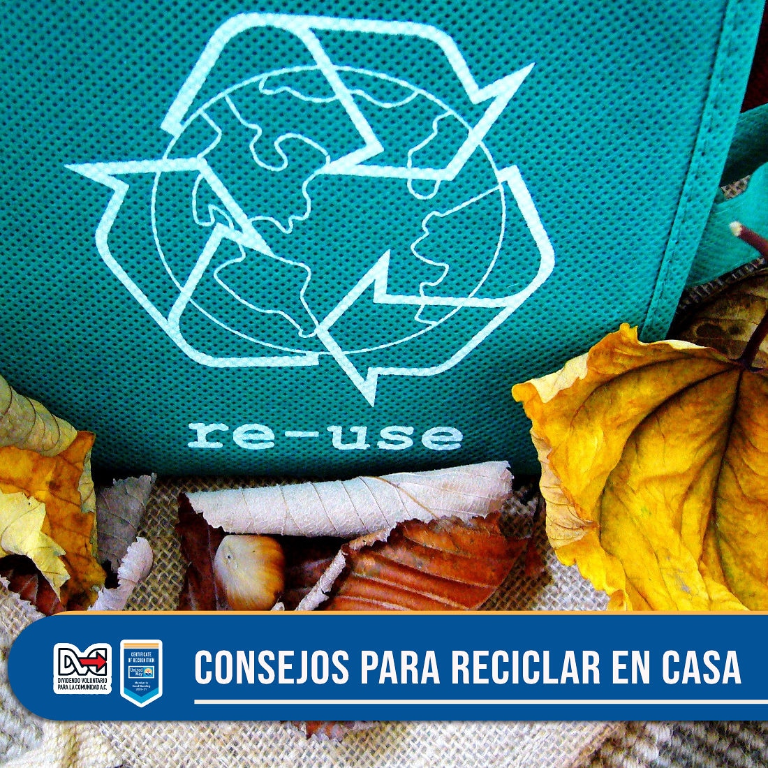 DVC_VE's tweet photo. #TipsReciclaje Reutiliza productos del día a día, como por ejemplo botellas de vidrio y plástico para contener alimentos. Con ellos podemos emplear nuestra  imaginación y construir macetas, herramientas etc 
#salud #saludable #vida #alimentación #DVC #UnitedWay #reciclaje https://t.co/LAcPcPBYTo