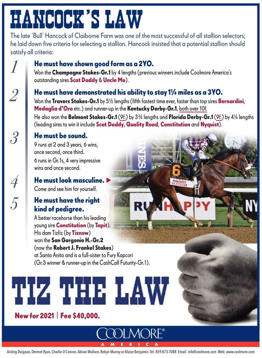 Infinity Racing Stables Infinity Stable Twitter