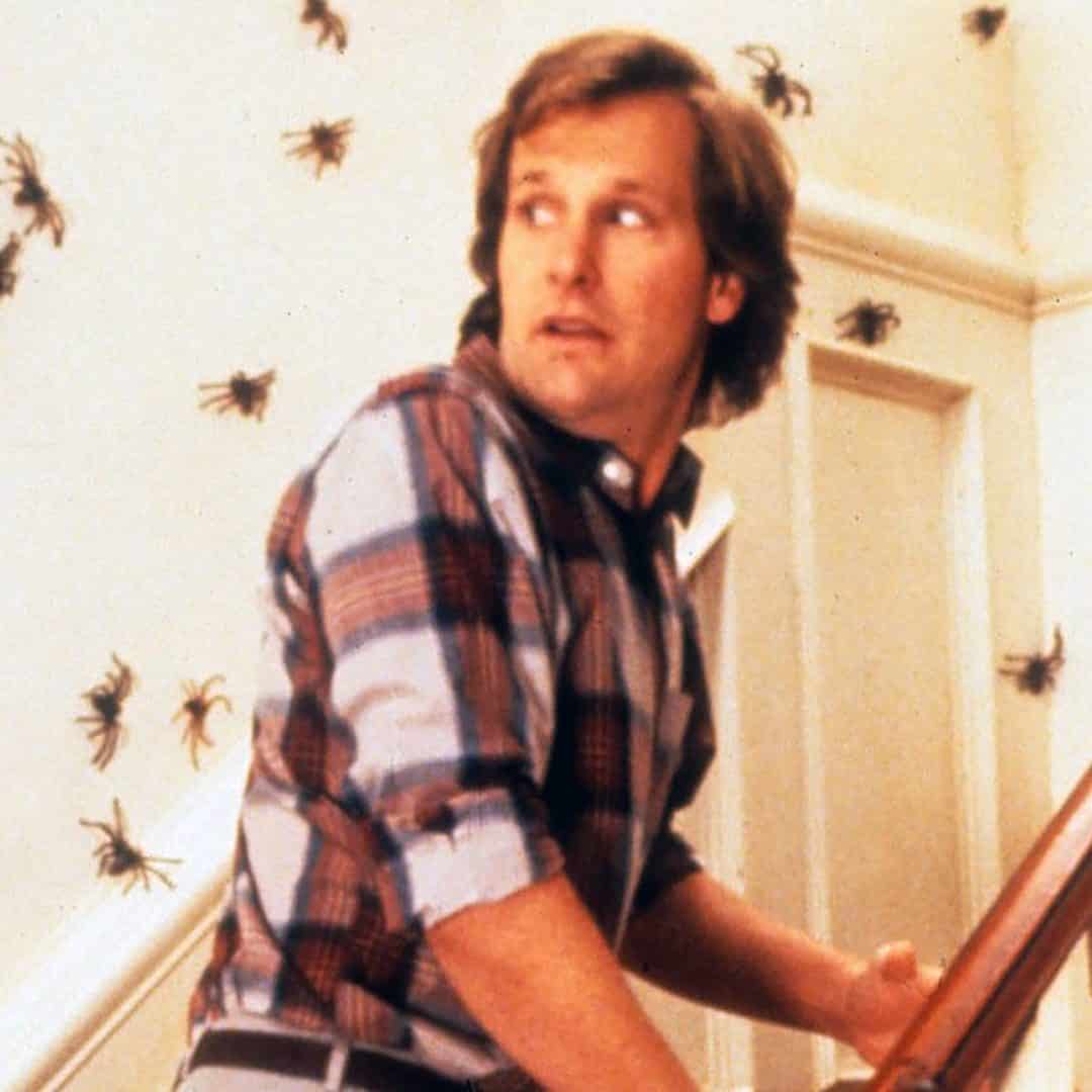 Happy Birthday to Jeff Daniels!   