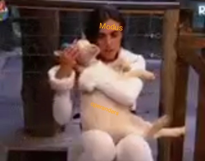 operandinhos's tweet image. A sensação de saber que amanhã o @moduspod volta é essa