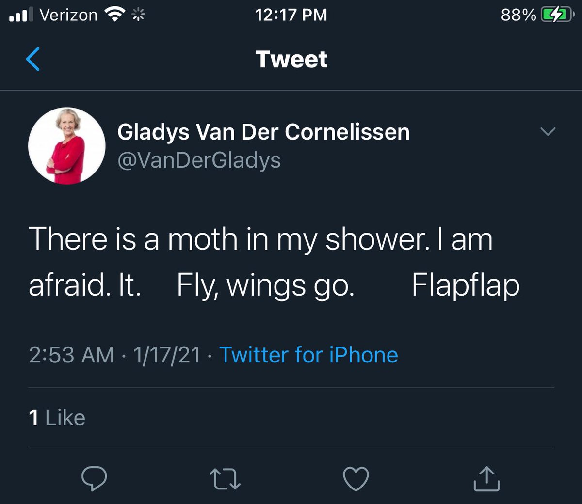 VeronicaBGust's tweet photo. @VanDerGladys’s moth problem is not new. Do you want a moth ridden hag to have any day in @Dutch_Cuisine Club affairs? I do not. #VeronicaForVictory https://t.co/YvwsGoOxZq