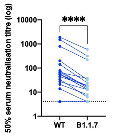 BREAKING—new  #B117 variant & vaccine data from  research lab shows mutations in B117’s spike protein yields a ~3.8x reduction in efficacy of vaccine-generated neutralization antibodies compared to wildtype (WT)  #SARSCoV2 strain. 10 of 15 people had >3x lower neutralization. 