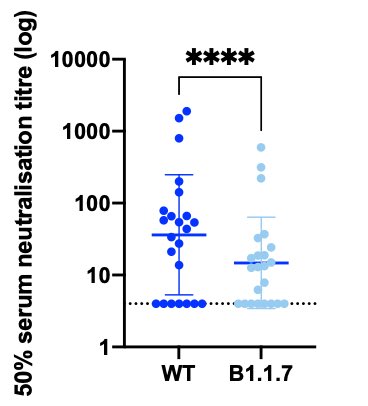 3) paper pending—among 15 individuals with neutralisation activity 3 weeks after the Pfizer mRNA vaccine (immunity has already kicked in), 10 showed >3-fold reduction in efficacy of antibodies against B.1.1.7 mutant. The highest was *6x* reduction in neutralization.  #COVID19