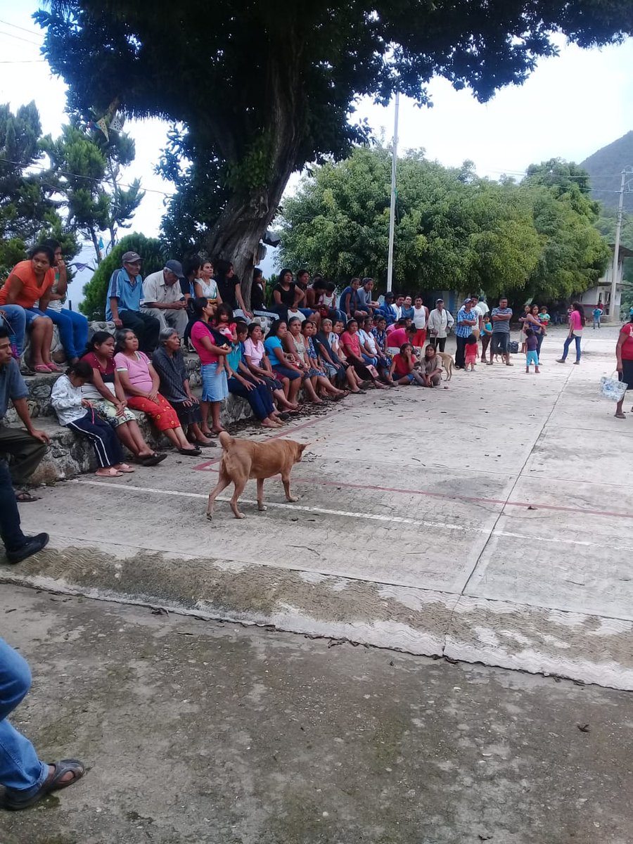 Betillocruz's tweet photo. Ahora es #CODEDI; la organización que dirige Abraham Ramírez, anuncian una "asamblea para exigir desaparición de poderes en #Xanica". Justo ahí en donde no ganaron las elecciones.
#TwitterOax https://t.co/lazbiDaIbn
