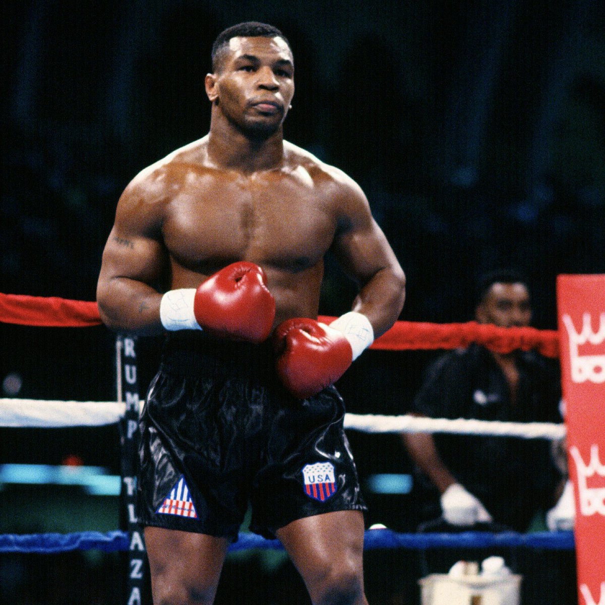 BoxingNewsED's tweet photo. Tyson - The complete chronology of the Baddest Man on the Planet: https://t.co/Mj4bJ25Thy https://t.co/NN6u65eYiO