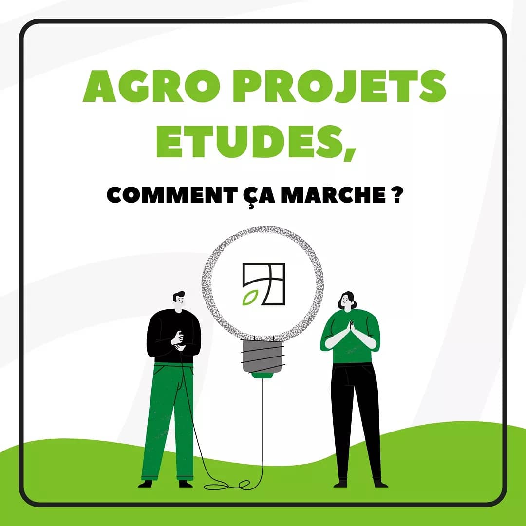Agro Projets Etudes tweet media