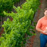 Photo by Dutton-Goldfield Winery (@DuttonGoldfield)