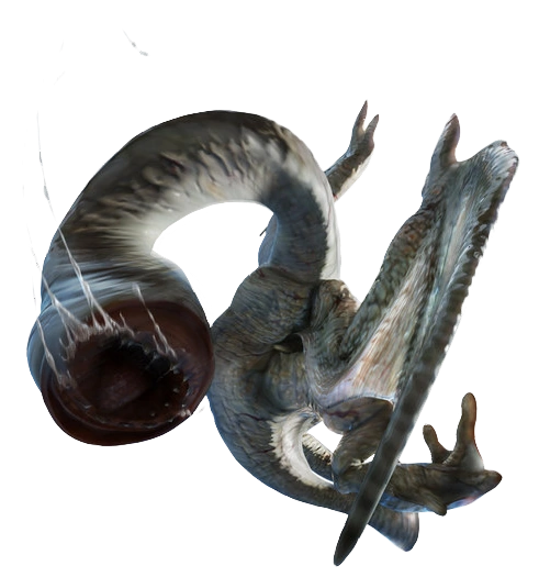 BannedDino's tweet photo. The skin around Khezu's neck is quite loose, and this flying wyvern has soft cartilage-filled bones that allow it to stretch its neck far. Despite Khezu's size and shape, its internal organs and blood vessels are fairly long, which is how it can do such a feat. https://t.co/WUBnM7JnNY