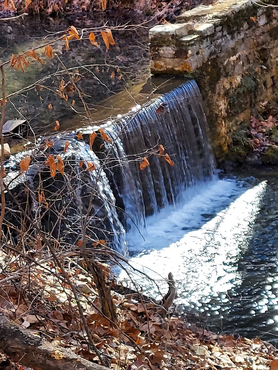 Blue Boop tweet media