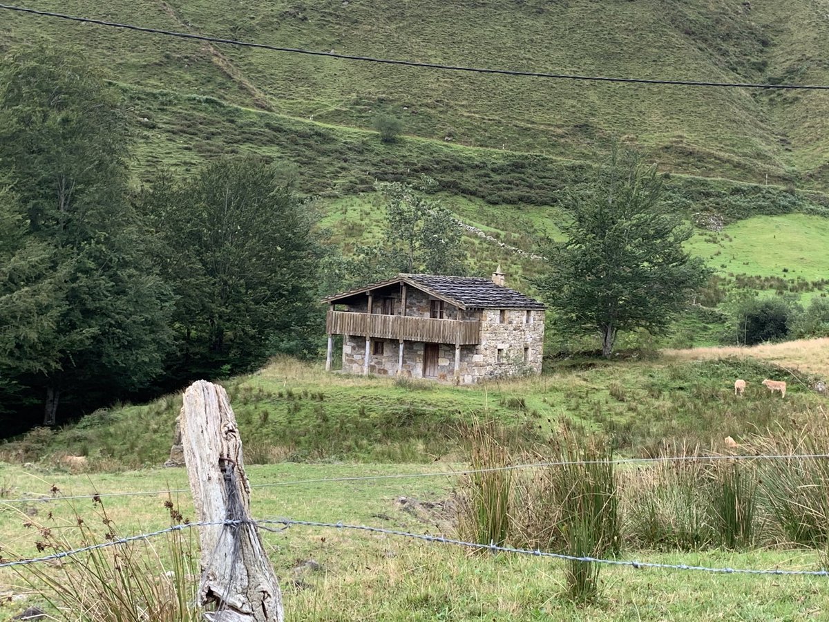 David Ortega tweet media