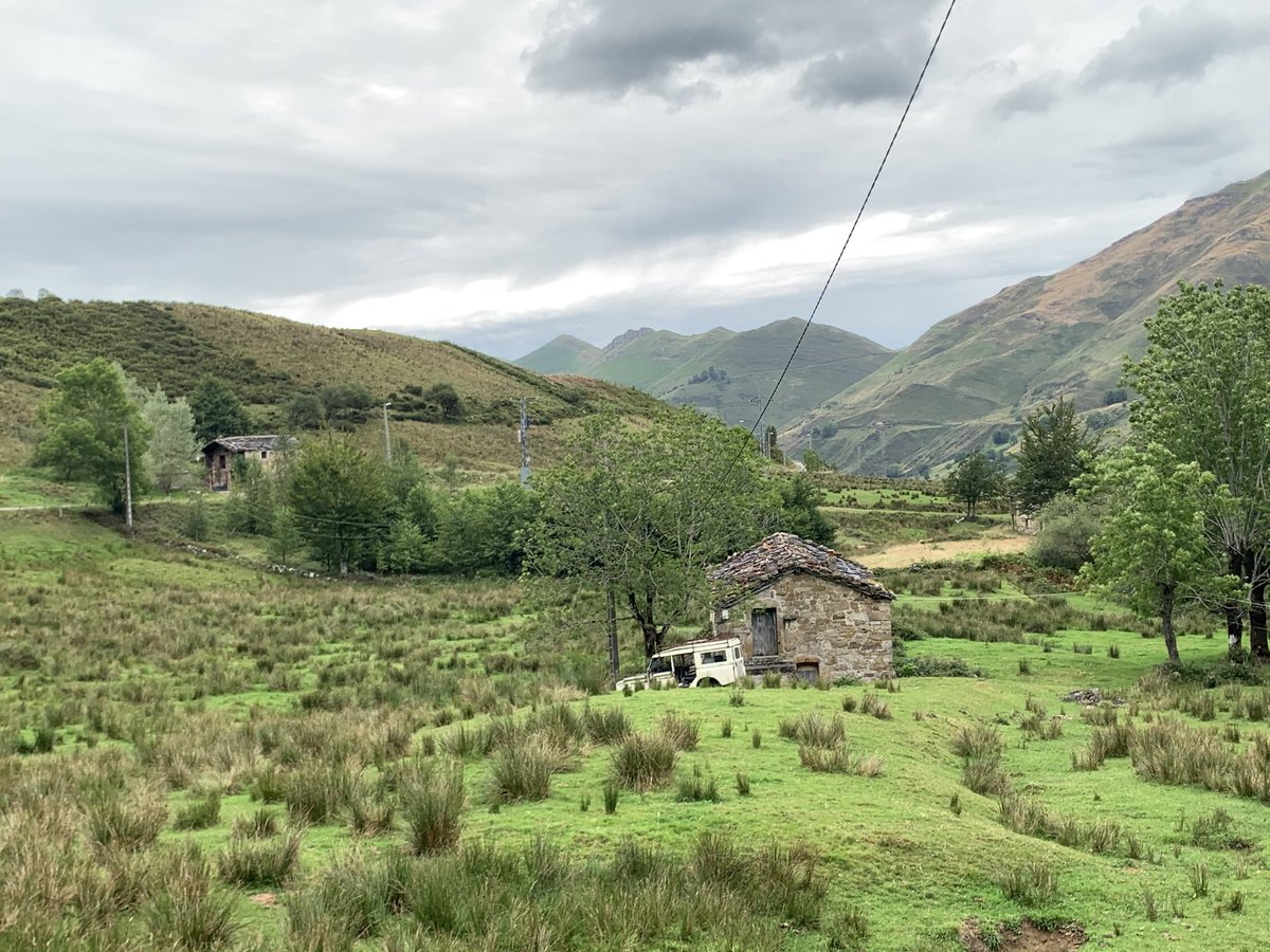 David Ortega tweet media