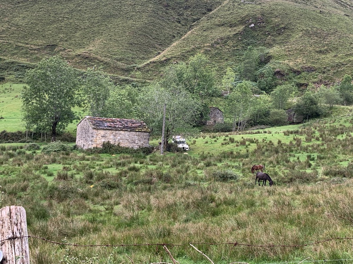 David Ortega tweet media