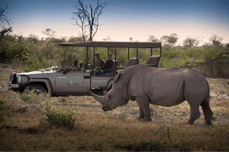 Calling all aspiring photographers!

Our BRAND NEW South African Photography Tour combines a safari with professional photography workshops. But this luxury experience is limited to only 6 guests, so act fast!

buff.ly/35rr5Vc

#explore #travel #wanderlust #Africa