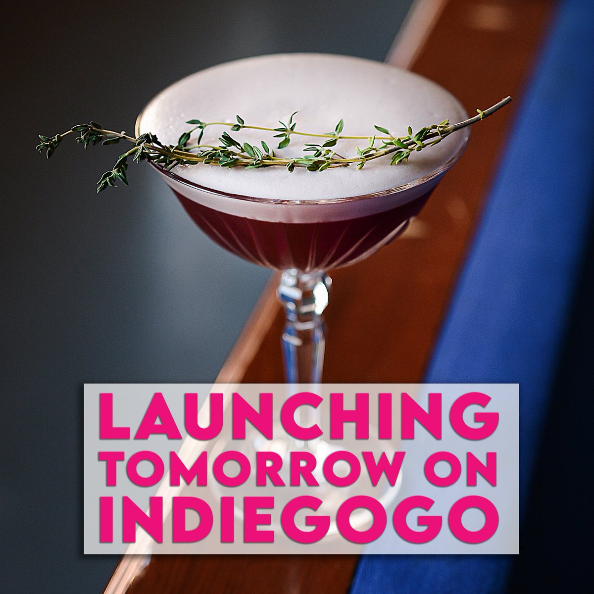 Drink in tweet media