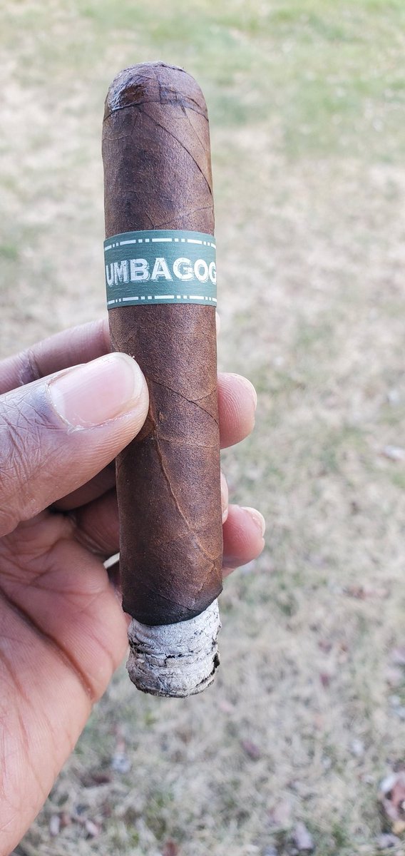 rayadh97's tweet image. Temp 🌡is decent today for a backyard 💨. #umbagog #burntoash #cigarmode
