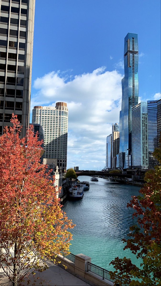 Chicago is a beautiful city with 4 seasons, wonderful people and is a center of art, culture and food.