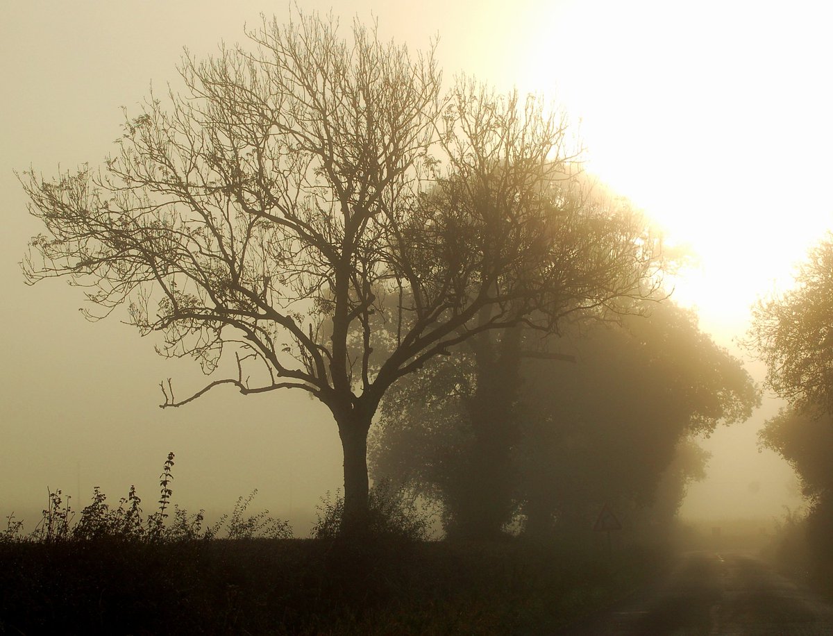 Misty Somerset sunrise.. 