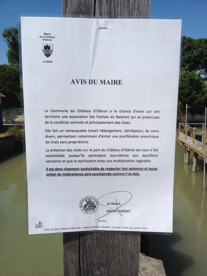 justineducern's tweet photo. Mr le Maire de chateau d'Oléron fait republier son avis concernant les chats errants
Ah si tous les Maires de nos communes de France pouvaient suivent son exemple ce serait formidable.
Merci à vous Mr le MAIRE. https://t.co/aMWL3XiVQf