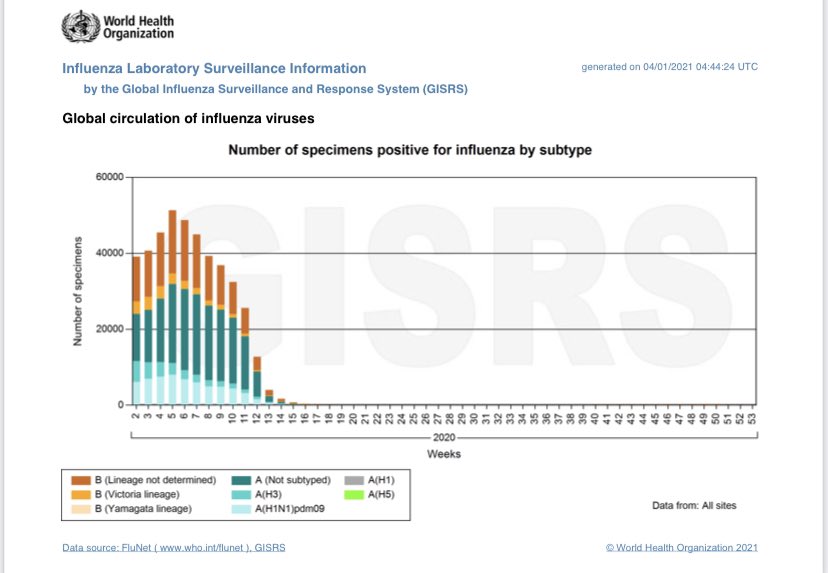 Os casos de influenza sumiram!!! Alguém me explica?! São dados oficiais da OMS...