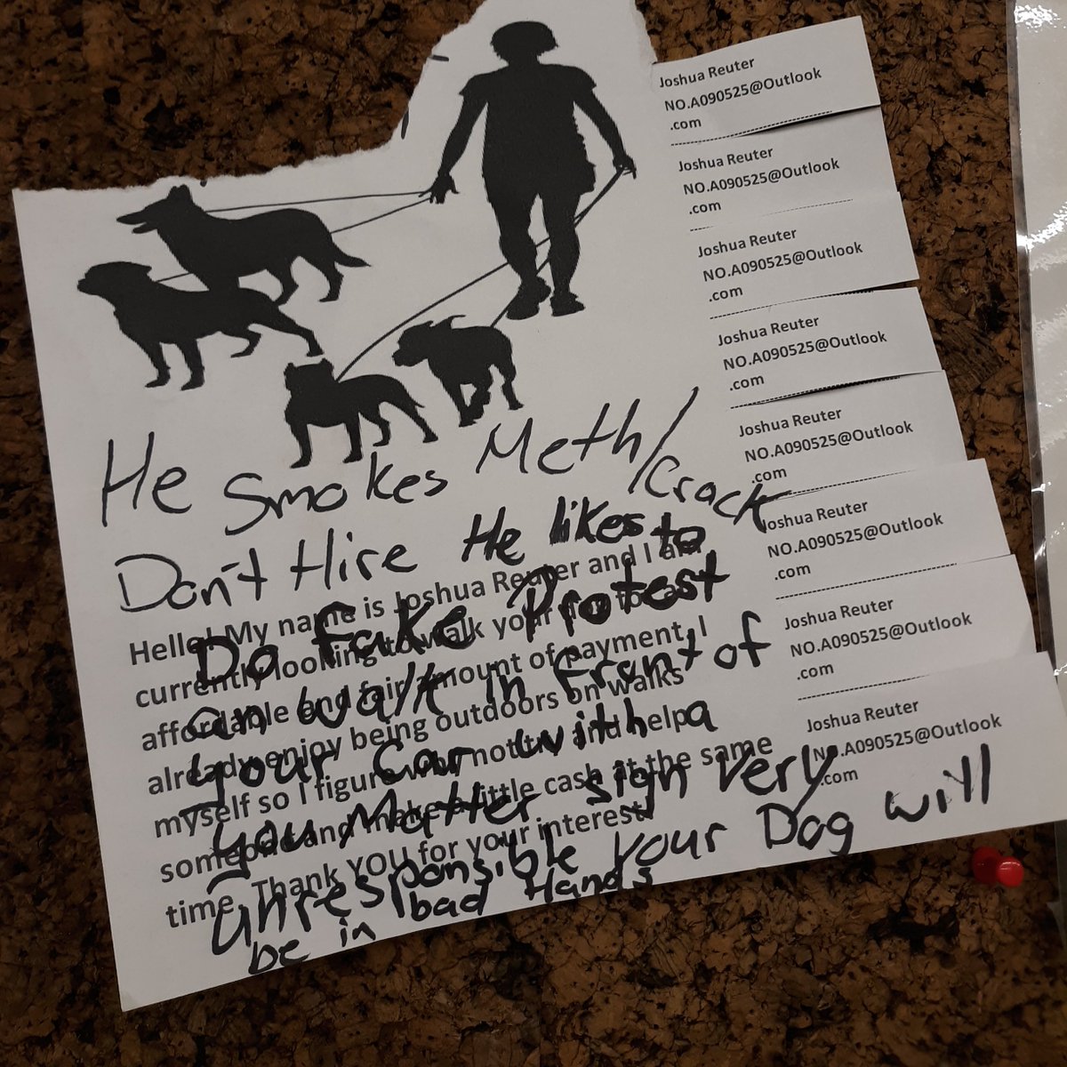 kyoto_kai's tweet photo. sights from the laundromat last night. 
apparently don't hire Joshua to be your dog walker. https://t.co/k3FVAgLsls