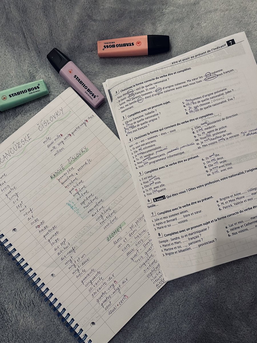 Tereza266's tweet photo. Hi sharks 🦈! I always wanted to speak French fluently, that’s why for this week’s #educateyourself66 challenge I decided to improve my skills from high school 🇫🇷 Wish me luck ✨ @Gymshark #gymshark66 https://t.co/2iFj7t5EOO