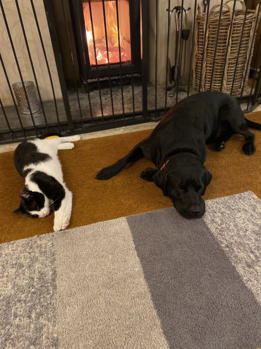 DesignerSmith's tweet image. Yep...It’s been another long day boys! #homeschooling #needanap