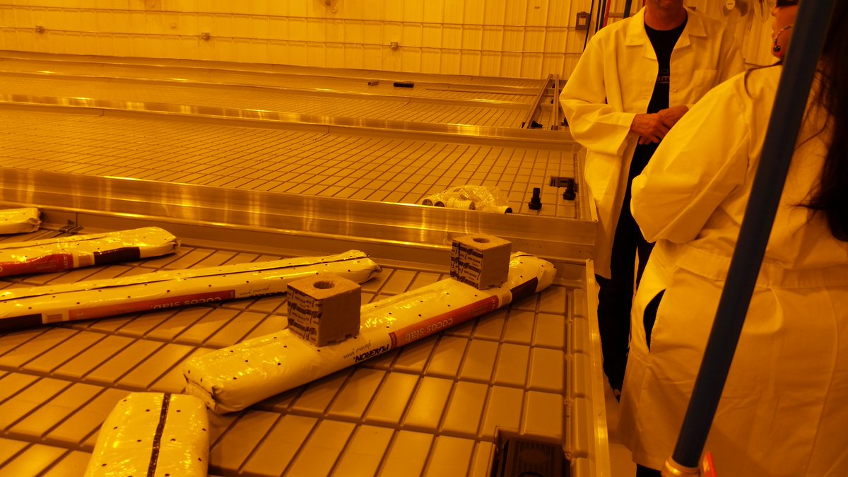 The cannabis industry is continually researching and developing, and we at GGS continue to work with growers to create and cultivate the best growing environments. #cannabisindustry