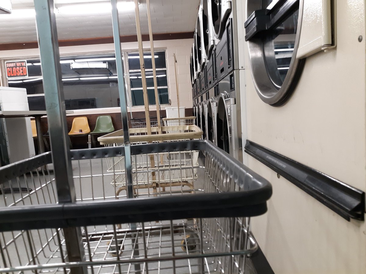 kyoto_kai's tweet photo. sights from the laundromat last night. 
apparently don't hire Joshua to be your dog walker. https://t.co/k3FVAgLsls