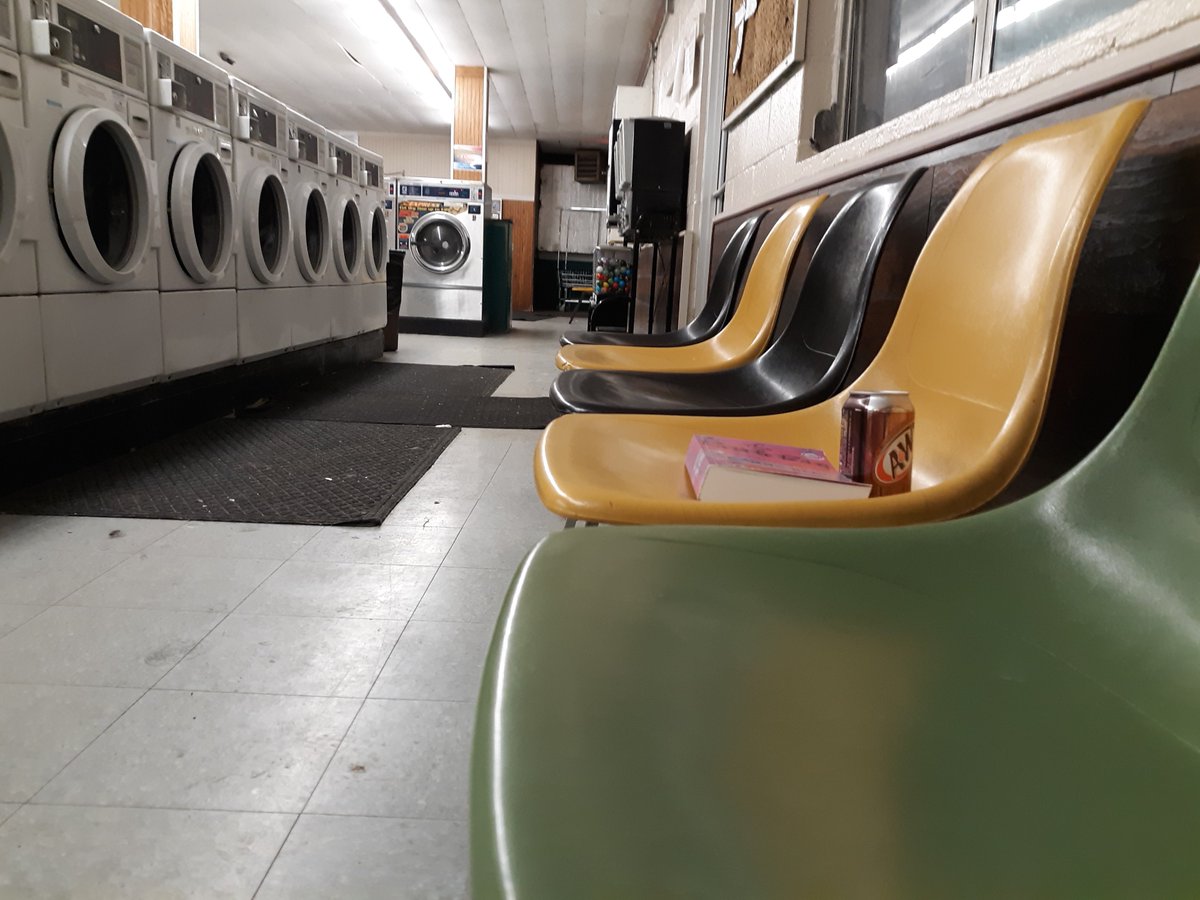 kyoto_kai's tweet photo. sights from the laundromat last night. 
apparently don't hire Joshua to be your dog walker. https://t.co/k3FVAgLsls