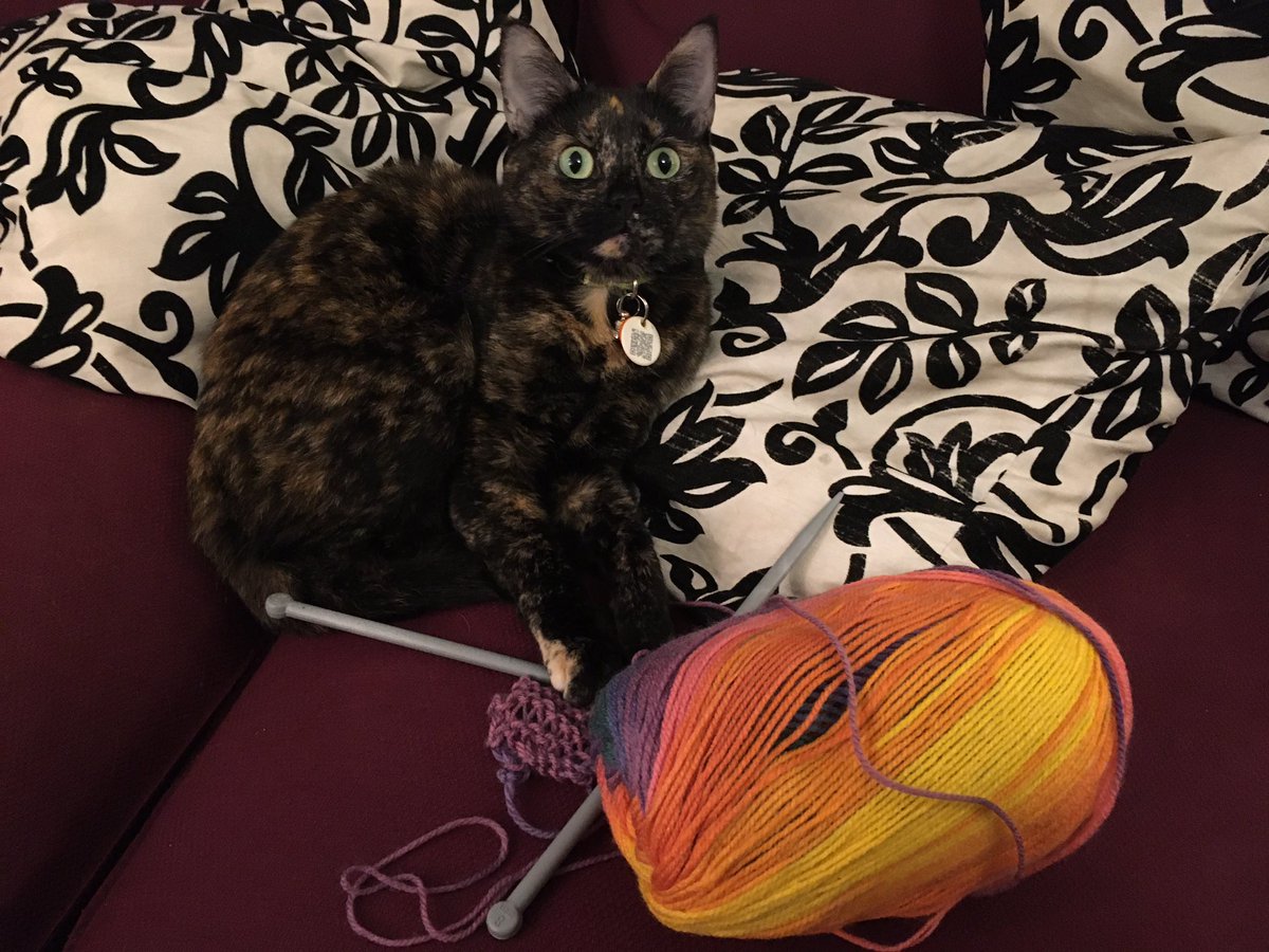 Hello! We’re two weeks out of infinity into Lockdown 3, and I would like to talk about knitting.I hate knitting. Passionately. I have nothing but admiration for people who can knit properly, but my aversion to it is pathological. Why? Because school ruined it for me.