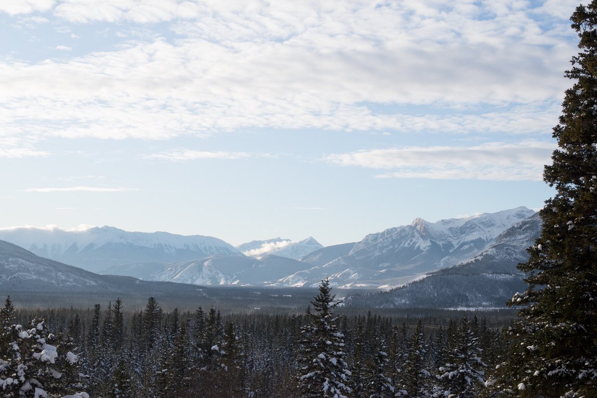OverlanderLodge's tweet photo. Making Mondays a little more tolerable :) https://t.co/K0xQeyXVbk