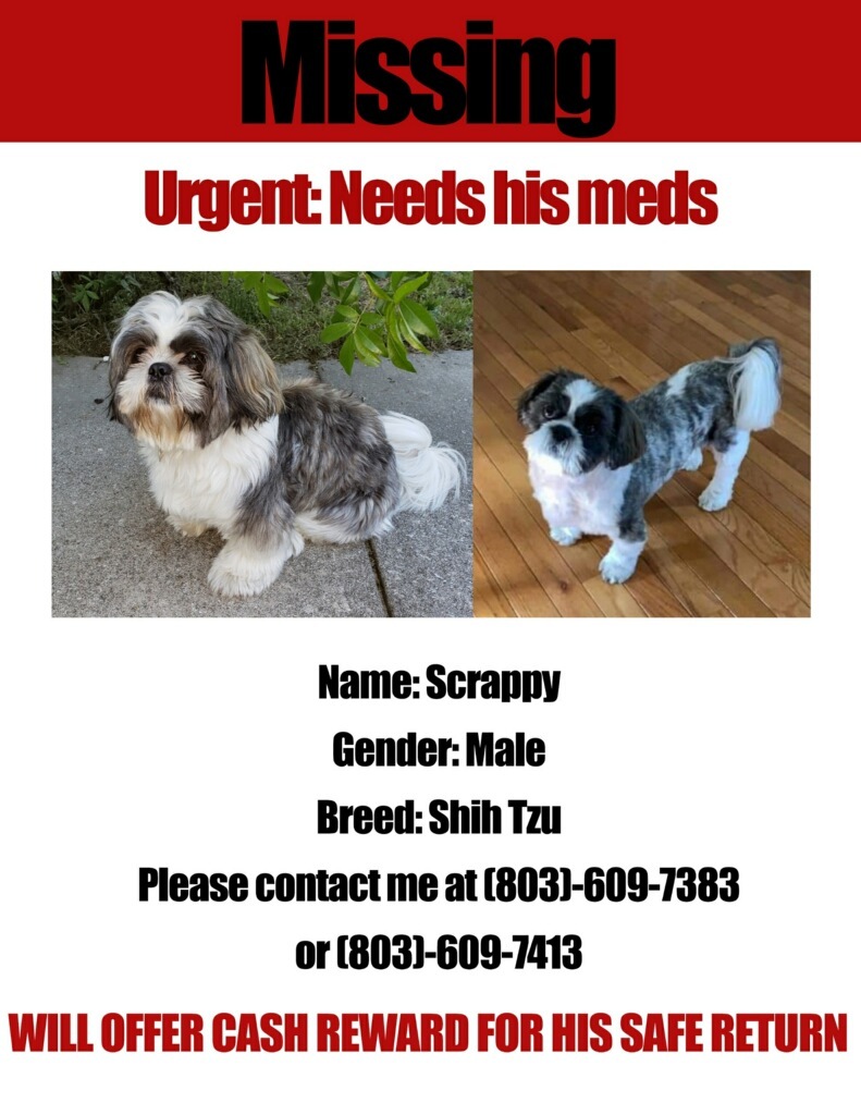 thegamecock's tweet photo. Scrappy the Jimmy and Son dog is missing. Please be on the look out! https://t.co/Ri0JPCeseN