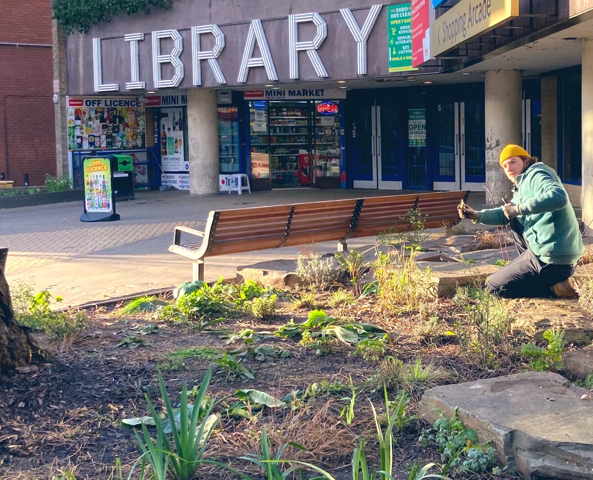 There’s a rumble afoot...

500 bulbs ready to shoot and bloom.

Goodbye #BlueMonday, hello #WoodGREEN 💚

Watch this space 🌱

#ecoexist #LibraryGarden #UrbanGreening