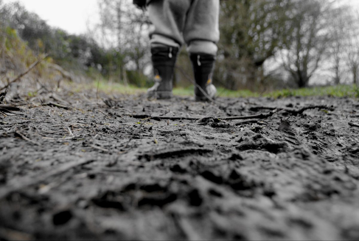 Went out for a few shots today #photographer #photography #bournemouthbased