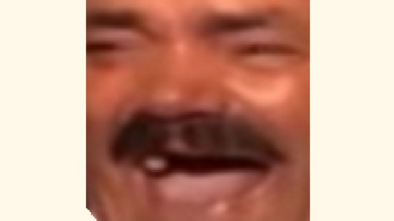 RealSteve tweet media