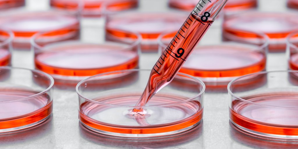 WakoLatin's tweet photo. Nuestras líneas de productos para #cultivocelular están diseñadas para sus investigaciones en células animales, células madre, células nerviosas, entre otras. Son utilizados también para control de calidad en la industria #biofarmacéutica. Conozca más: https://t.co/TDIe3M752g https://t.co/EjzJj8hqkU