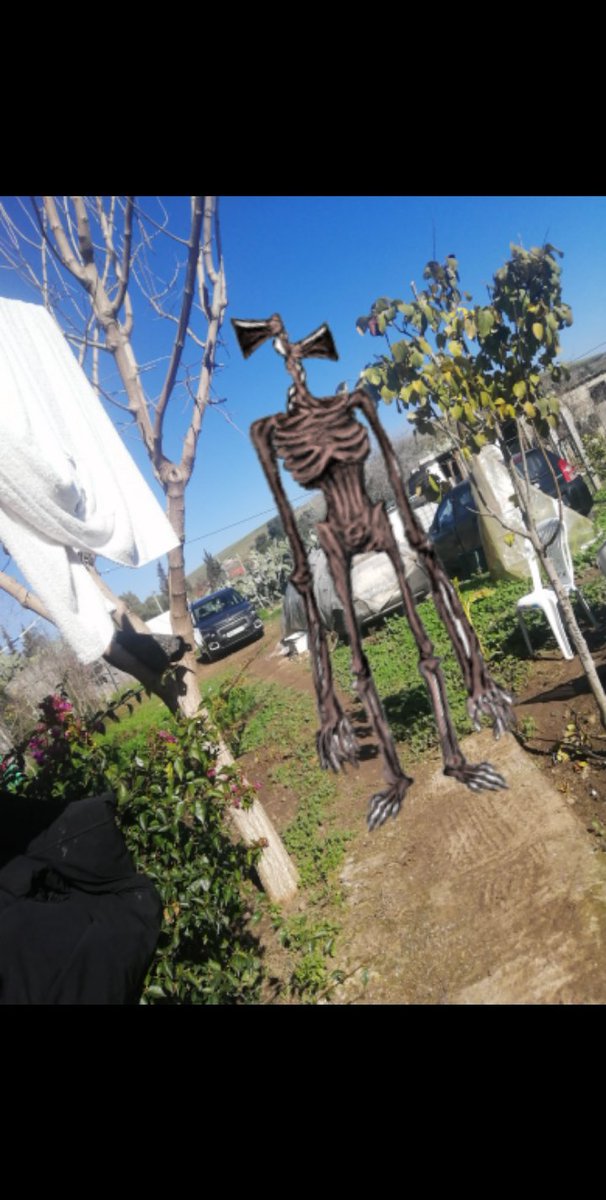 SIREN HEAD tweet media