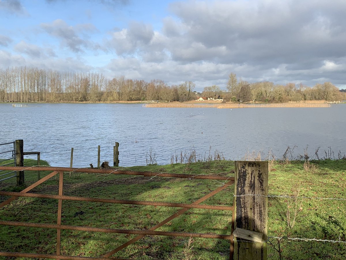HallRingsfield's tweet photo. @eastsuffolkone Took this picture when walking to the @geldestonlocks #waveney #beccles #bungay https://t.co/lc8Lo5QXmy