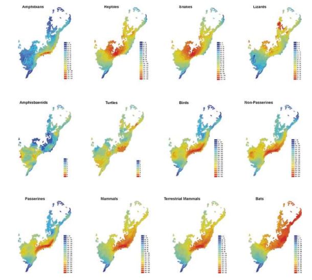 Glad to be part of this amazing book about the #AtlanticForest. Here we updated the tetrapod species list and evaluate #diversity patterns and Wallacean and Linnean shortfalls. Check it out!  link.springer.com/chapter/10.100…