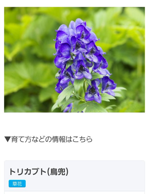 トリカブトのtwitterイラスト検索結果