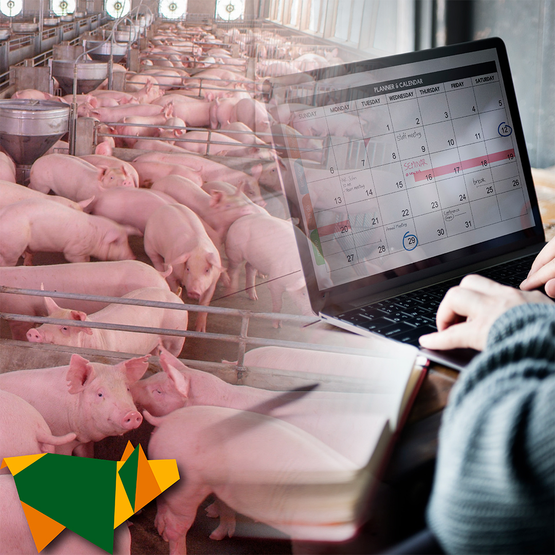ipvs2022's tweet image. The IPVS takes place every 2 years to discuss the work of the international scientific community, bringing together professionals from the world’s pig industry. Technical-scientific advances are presented to help in the most assertive solutions.
