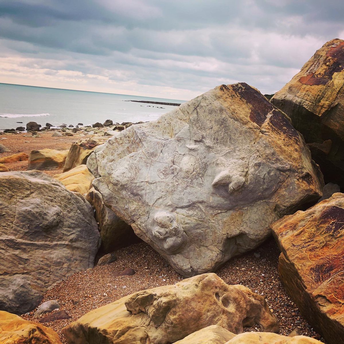 It’s amazing what you can find at low tide. DINOSAUR FOOTPRINTS!! An iguanodon walked this stretch of beach about 120m years ago. Really incredible to see.