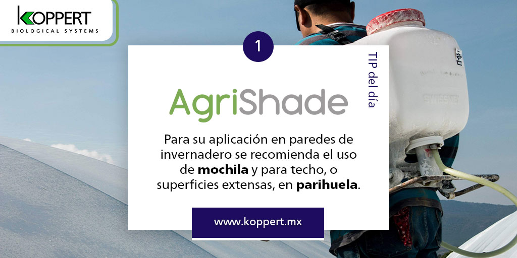 KoppertMX's tweet photo. Si las condiciones climáticas alrededor de tu #invernadero son adversas 🌦️, entonces #AgriShade es la herramienta de sombreo que necesitas 😎 ¡Altamente resistente! Más información en: https://t.co/g7cirufCzI #naturaleza #agro #cultivos #sombreo #clima #sol #FelizLunes https://t.co/GzxFJl03G0