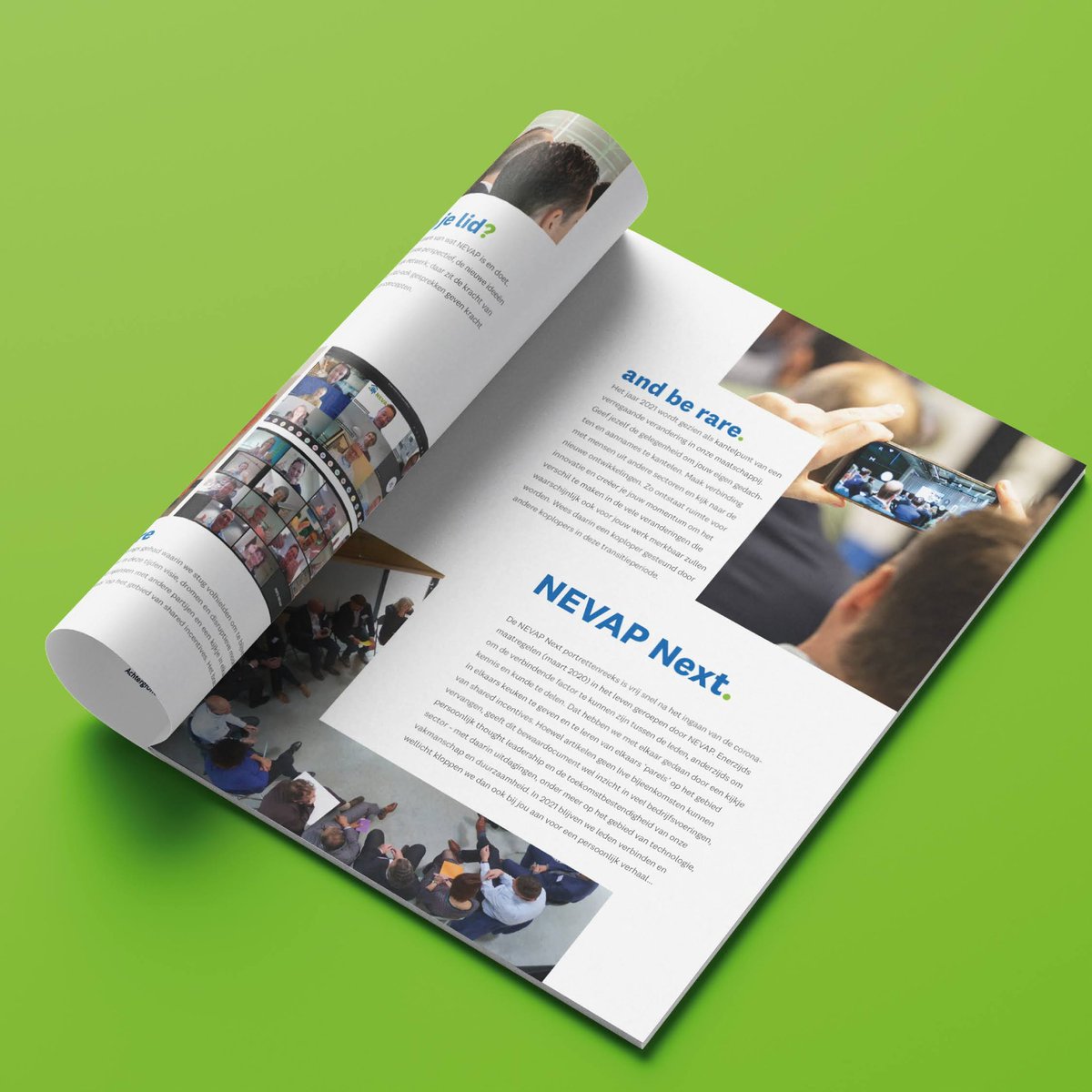 Steenbergen Ontwerp tweet media