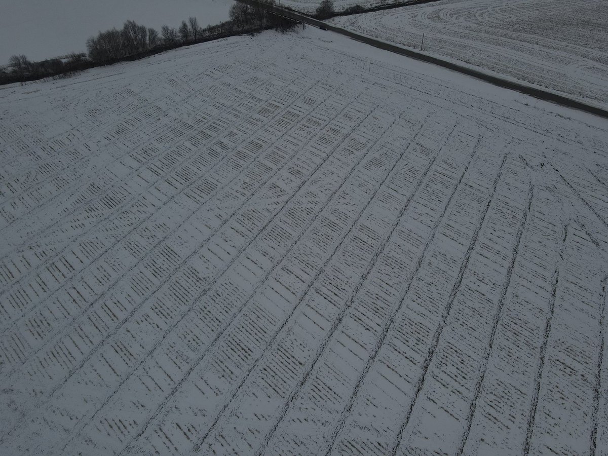 Thank you Mike Beuerman for being our first #drainpink participant for 2021! #breastcancerawareness #tile21